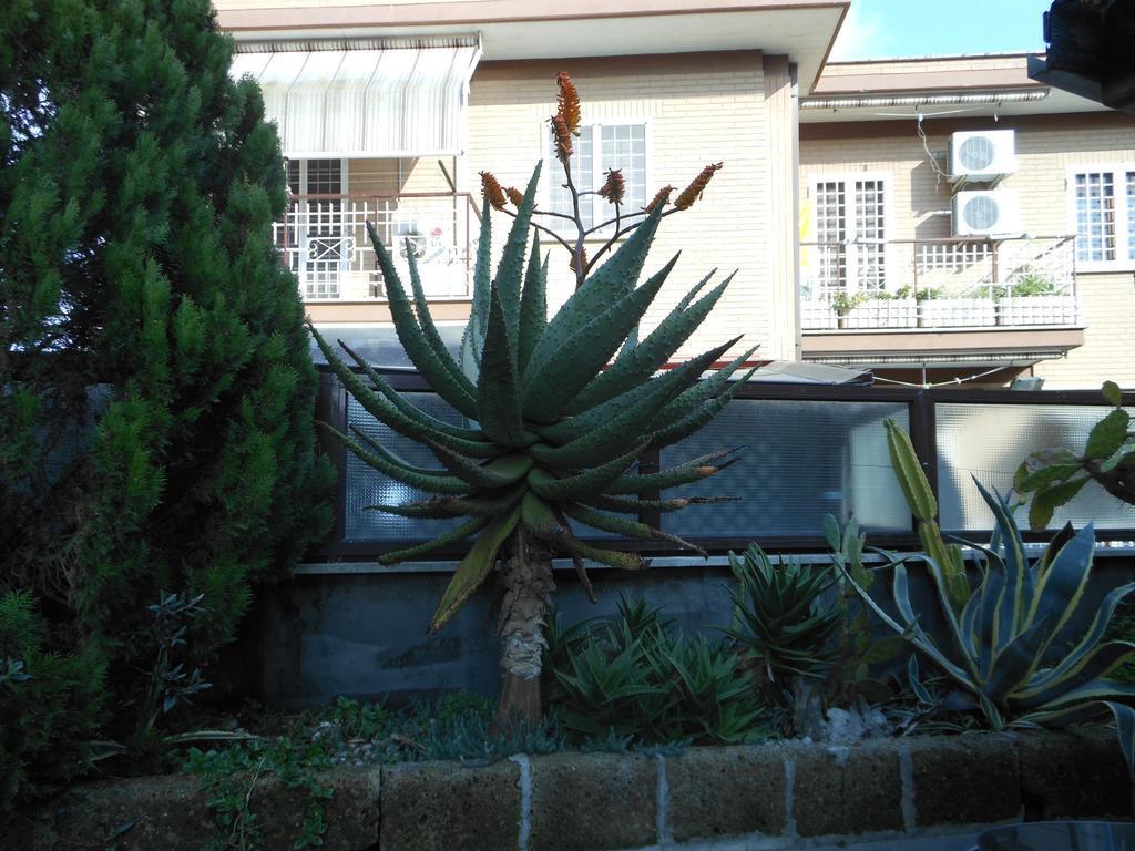 Happy Days B&B - Rome, Rome