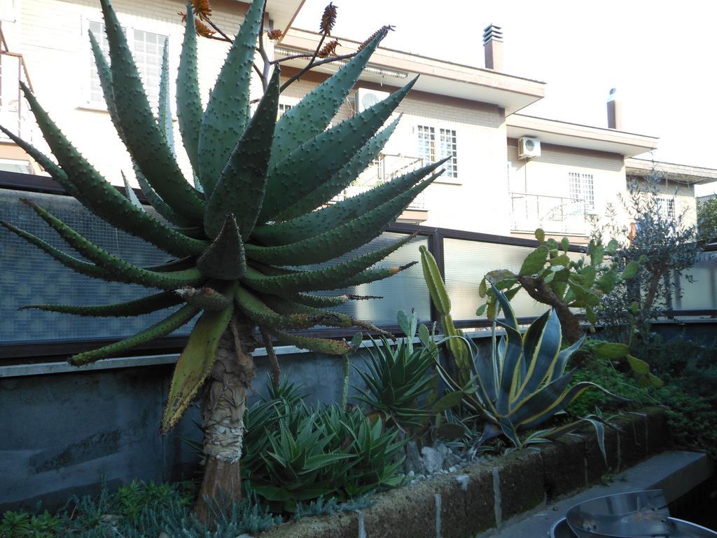 Happy Days B&B - Rome — Photos 2
